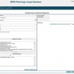 Pathology Workbench Curation